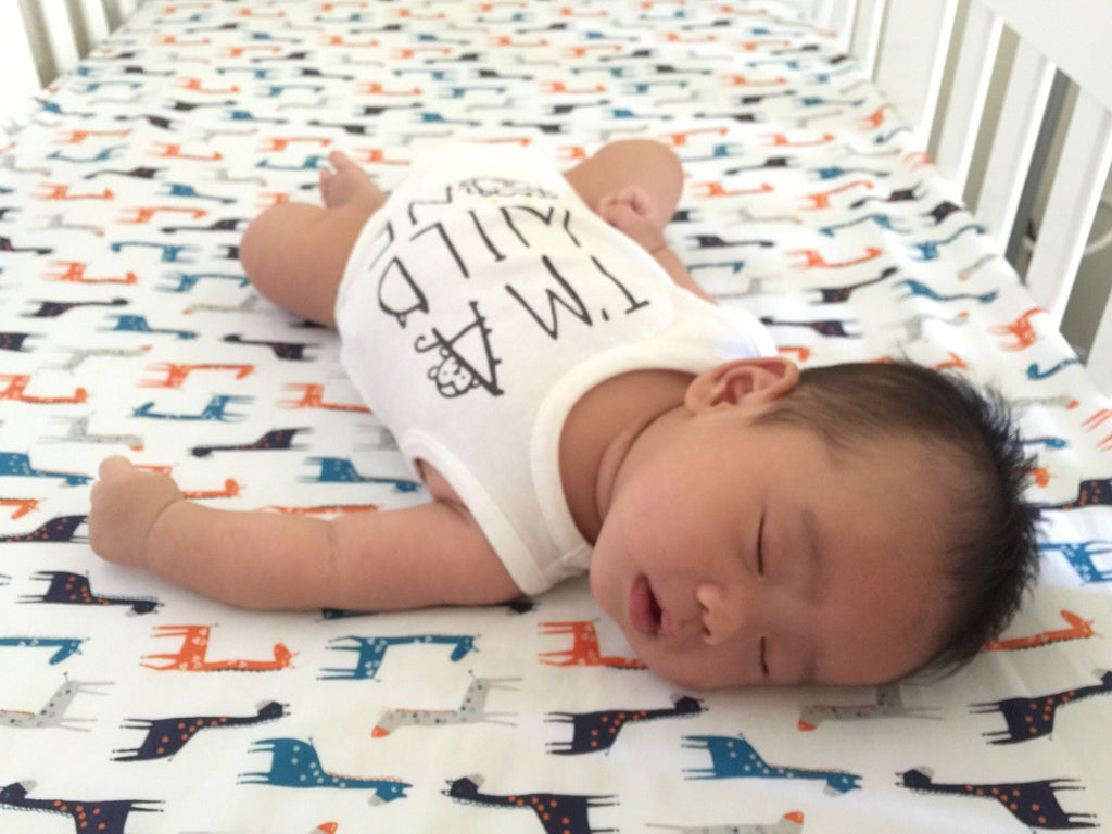 How to Transition Your Kid From Crib to Bed Alex + Nova